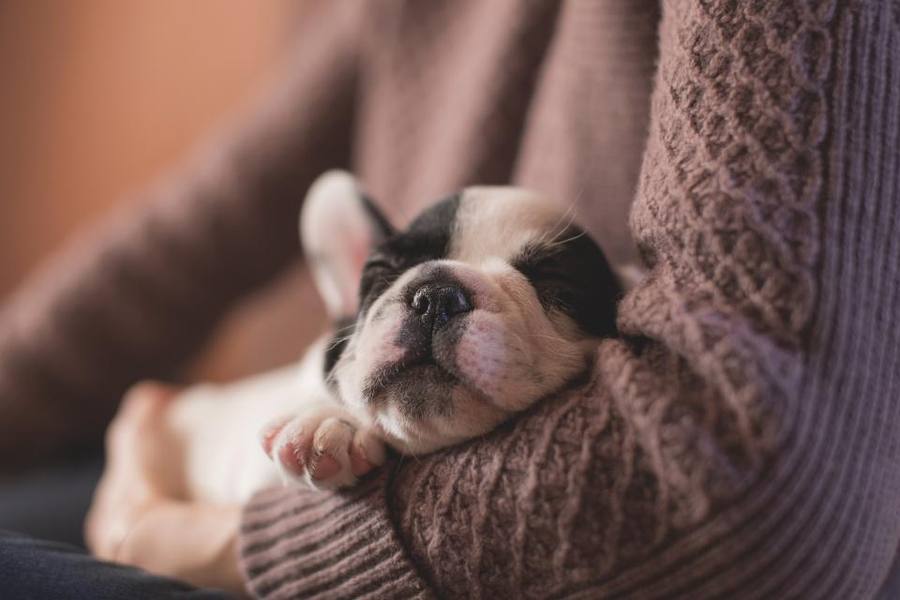 Sleep Tech